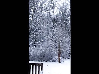 Fluffa i snön